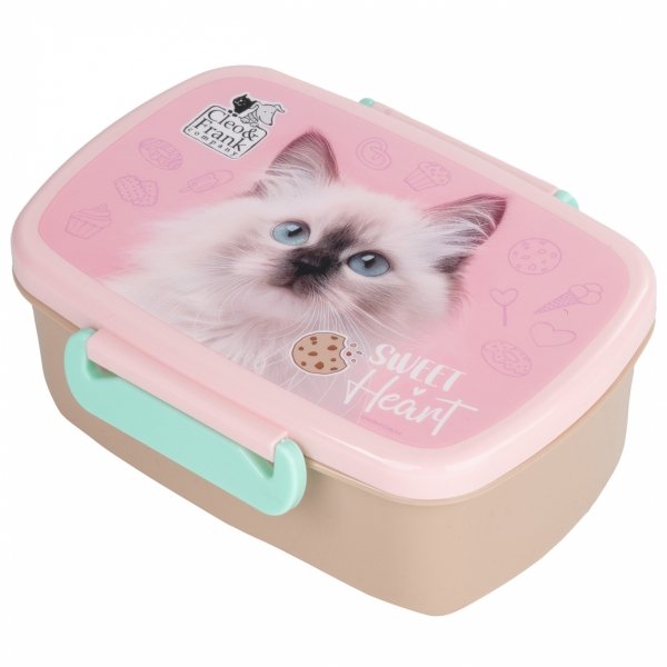 PLECAK Z KOTKAMI DLA UCZENNIC SZKOLNY ZESTAW 5w1 DO 1 KLASY TORNISTER CATS