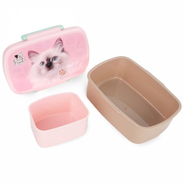 TORNISTER SZKOLNY KOTEK DERFORM ZESTAW 5w1 DLA DZIEWCZYNEK Z KOTKAMI CATS