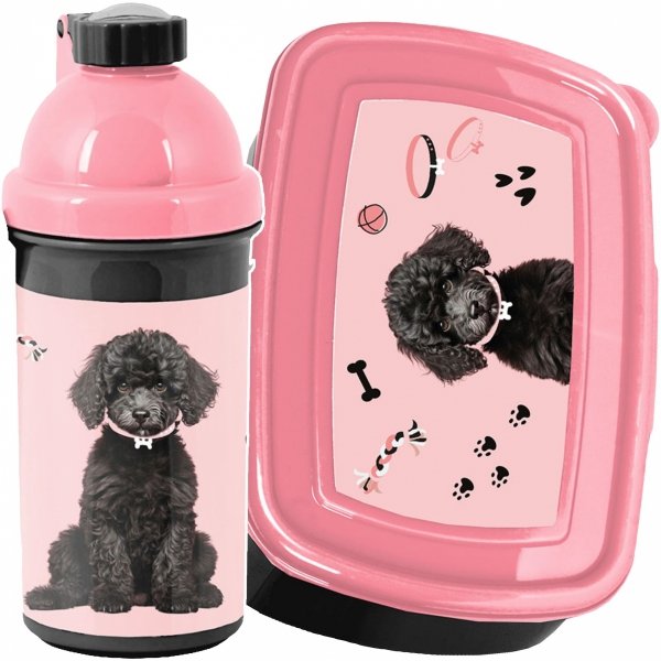 ZESTAW 2w1 BIDON ŚNIADANIÓWKA DLA UCZENNIC Z PIESKAMI DO SZKOŁY PASO PIESEK