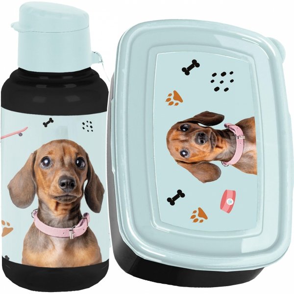 KOMPLET 2w1 BIDON ŚNIADANIÓWKA DLA UCZENNICY Z PIESKAMI DO SZKOŁY PIESEK