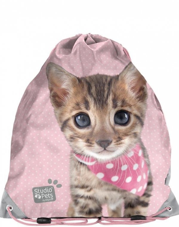 Plecak na Zajęcia Szkolne z Kotkiem Kotem Kot Szary Różowy [PJC-116]