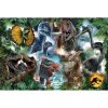 Trefl Puzzle 300 elementów Ulubione dinozaury Jurassic World
