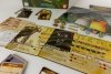 Portal Games Gra Spirit Island: Zarośla i Szpony