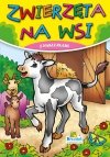 Książeczka do kolorowania Zwierzęta na wsi 084 p20 KRZESIEK mix