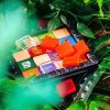PROMO Pakal gra 58259