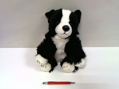 ANEK - SMILY PLAY Pies Border Collie 30cm SmilyPlay 84404BD 34722