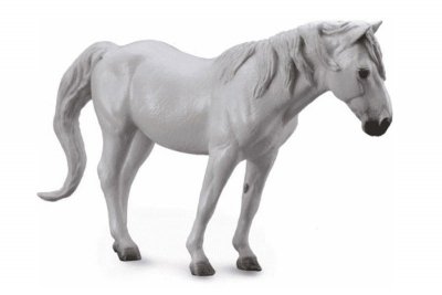 COLLECTA - DANTE Collecta Koń rasy Camargue maści szarej 88749 8749