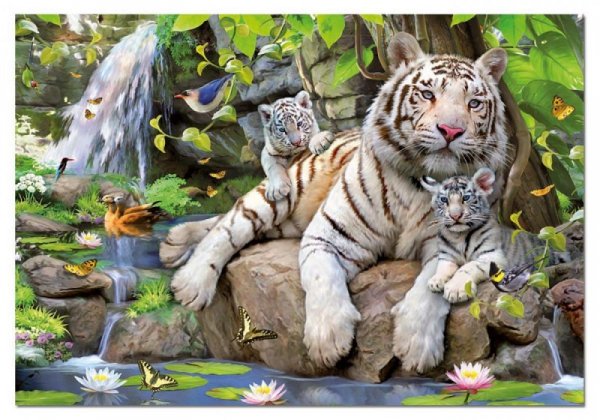 Educa Puzzle 1000 elementów, Tygrysy Bengalskie