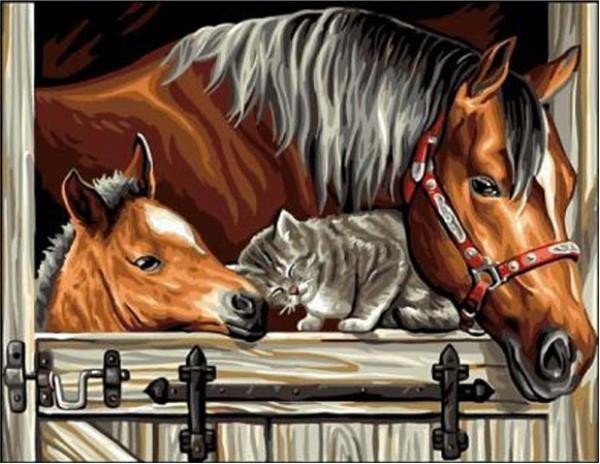 Norimpex Diamentowa mozaika - Konie z kotem