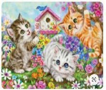Norimpex Diamentowa mozaika - Trzy wesołe kotki