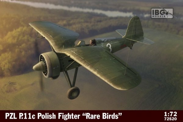 Ibg Model plastikowy PZL P.11c Polish Fighter in Rare Birds 1/72