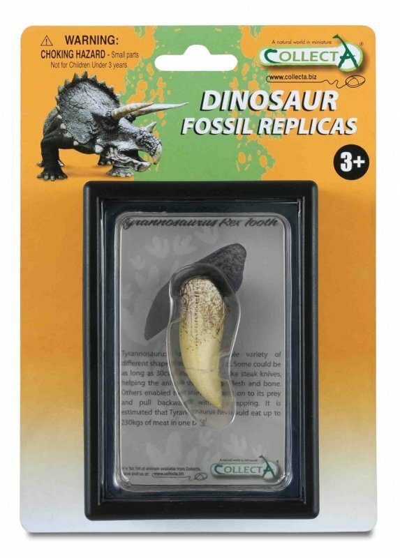 Ząb Tyranozaura w opakowaniu 89281 COLLECTA
