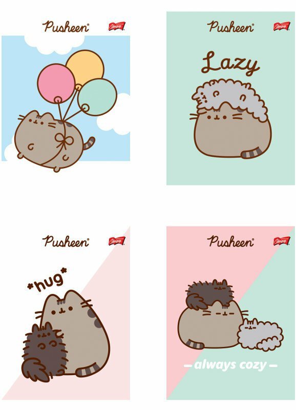 Zeszyt A5 32k krata laminowany Pusheen p15 mix cena za 1 szt