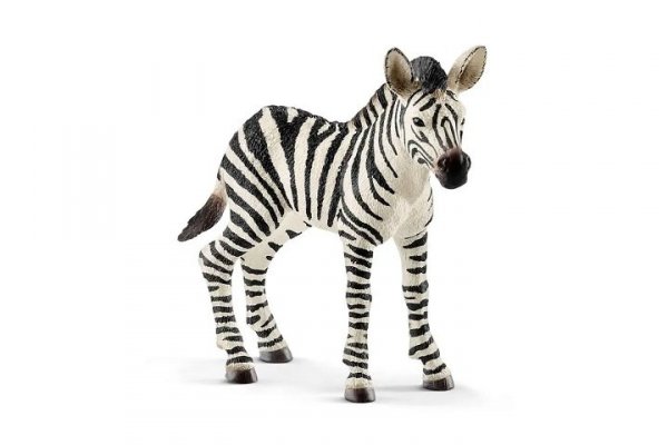 SCHLEICH SLH zebra, źrebię 14811 20797