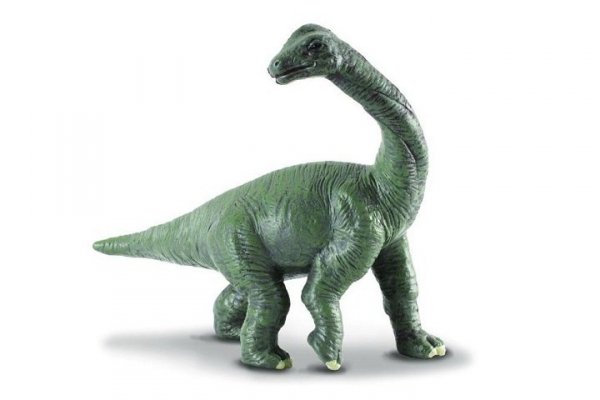 COLLECTA - DANTE Collecta dinozaur młody bronchiozaur 88200 82000