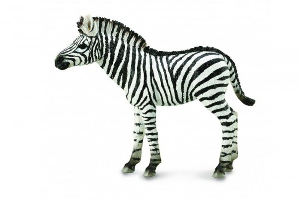 COLLECTA - DANTE Collecta młoda zebra 88850 88507