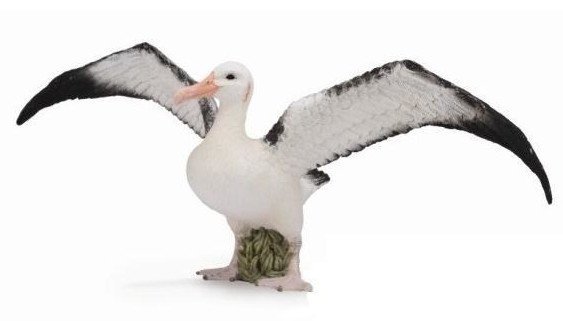 COLLECTA - DANTE Collecta albatros wędrowny 88765 87654