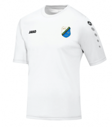 WZ: koszulka TEAM krótki rękaw