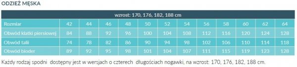 Bluza Męska 3004 - Różne Rodzaje