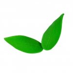 Hokus - Listki cukrowe do storczyków duże 10 szt.