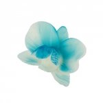 Cukrowy CYMBIDIUM kwiat z masy cukrowej - NIEBIESKI 1szt