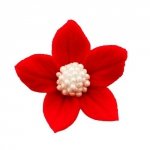 Płomyk czerwony 10 szt.