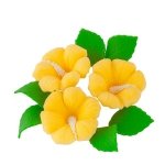 Zestaw cukrowe kwiaty HIBISKUS z listkami ŻÓŁTY