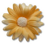 Margaretka kwat z masy cukrowej 1 szt. - KOLOR HERBACIANY