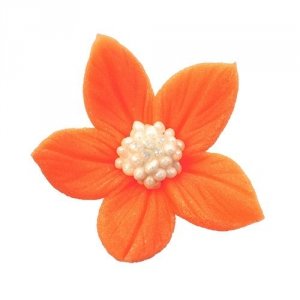 Płomyk pomarańczowy 10 szt.