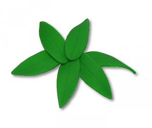 Hokus - Listki cukrowe do storczyków małe 10 szt.