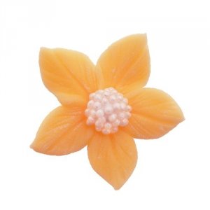 Płomyk herbaciany 10 szt.