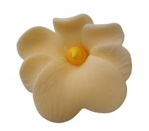 Miltonia kwiat cukrowy na tort 5cm ecru 1szt