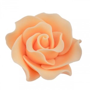 Róża Max 1 szt. herbaciana