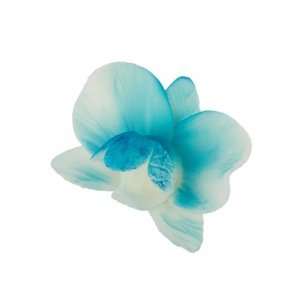 Cukrowy CYMBIDIUM kwiat z masy cukrowej - NIEBIESKI 1szt