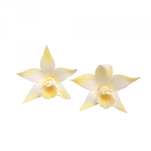 Cukrowa KATLEJA malowana kwiatek z masy cukrowej - 1szt ŻÓŁTA