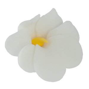 Miltonia kwiat cukrowy na tort 5cm biały 1szt