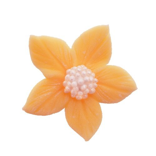 Płomyk herbaciany 10 szt.