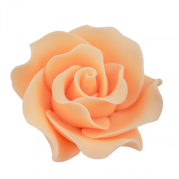 Róża Max 1 szt. herbaciana