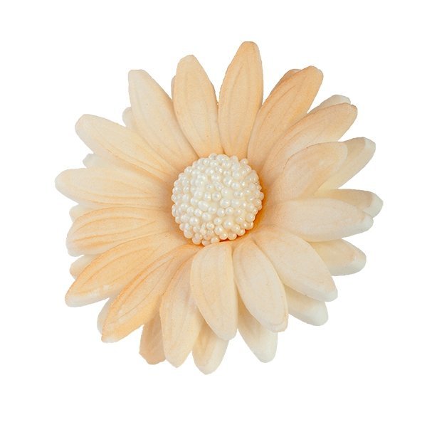 Margaretka kwiat z masy cukrowej 1 szt. - KOLOR ECRU