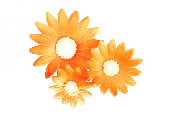 Kwiaty z masy cukrowej RUMIANEK 9woreczków (3 kwiatki +6 listków) HERBACIANY