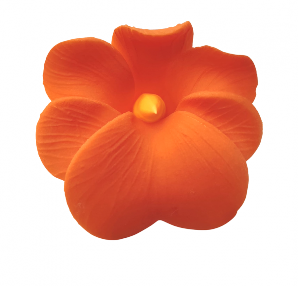 Miltonia pomarańczowa 10 szt