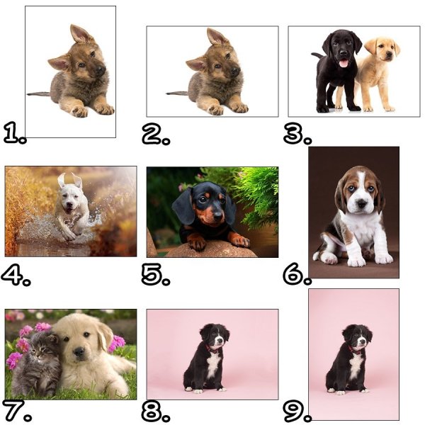 Opłatek prostokątny na tort PSY (różne wzory) A4