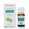 Pine Needle Essential Oil, Dr.Biokord, 5ml