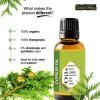 Natural Cypress Essential Oil, Indus Valley, 15ml