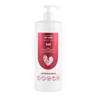 ON LINE Family Time Żel do mycia ciała ,włosów i twarzy 3w1 - Magnolia Dream 850 ml 