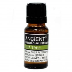 Tea Tree Essential Oil, Ancient Wisdom, 10ml