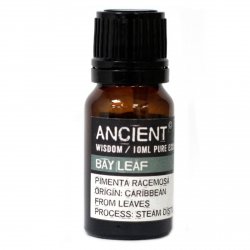 Bay Leaf Essential Oil, Ancient Wisdom, 10ml
