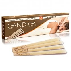 Conch Ear Candles (5 pairs)