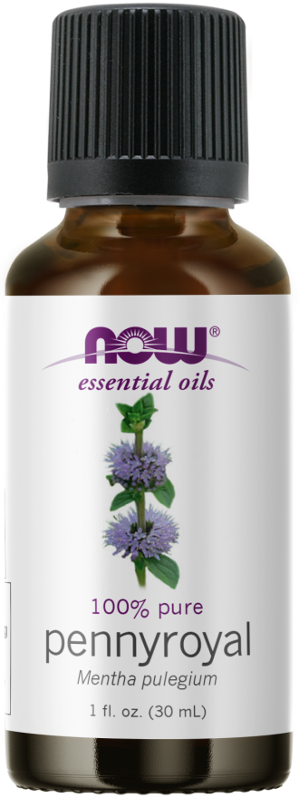 Pennyroyal Essential Oil, Now, 30ml