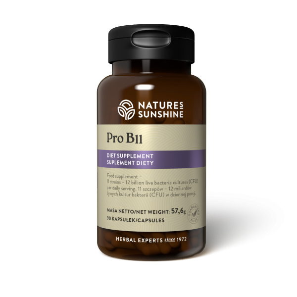 Pro B11 Probiotic Bacteria, Nature's Sunshine, 90 capsules